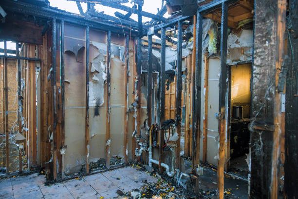 Professional Fire Damage Repair technician working in Potosi, MO